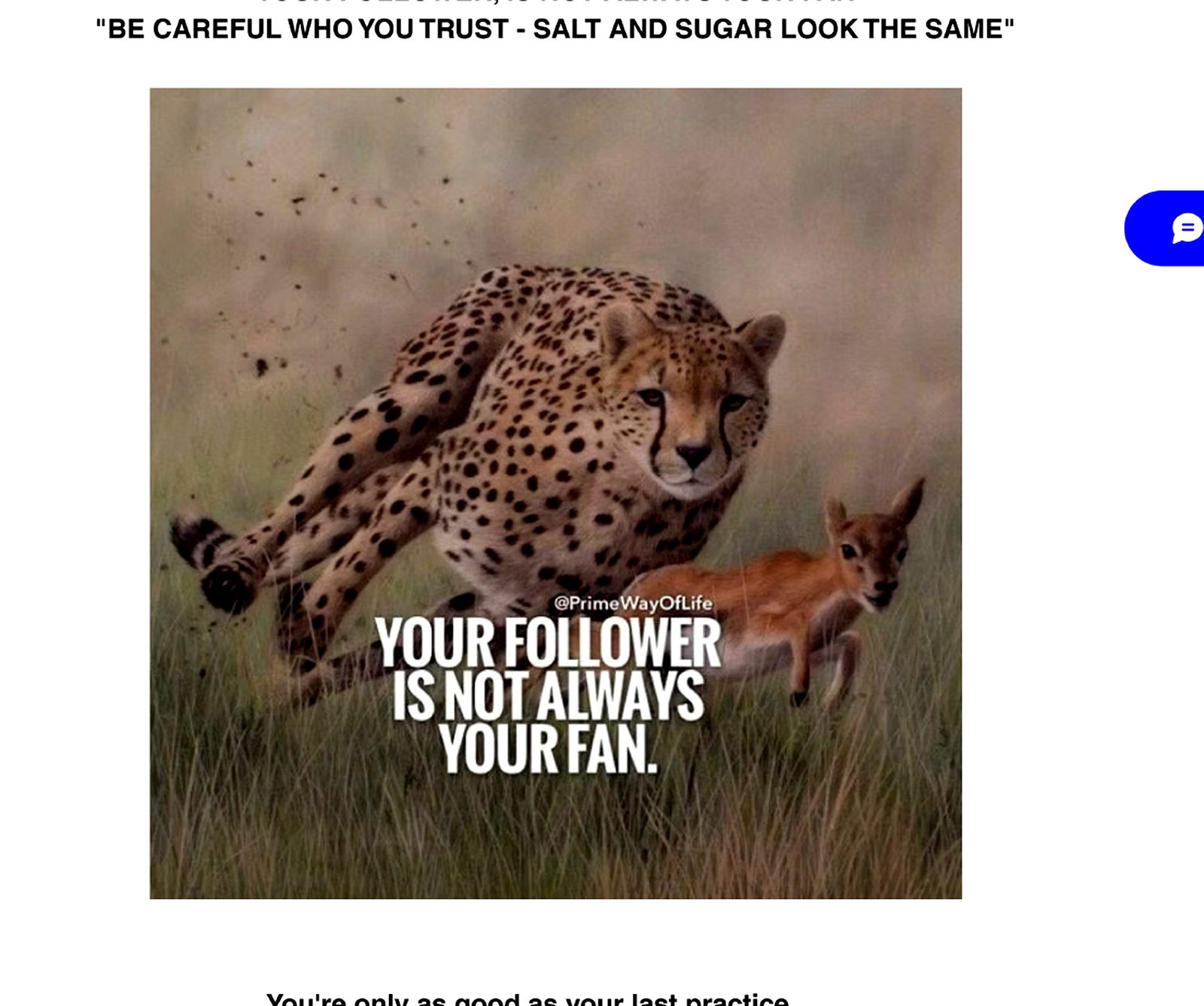 Words of Wisdom — Your Follower is Not Always Your Fan