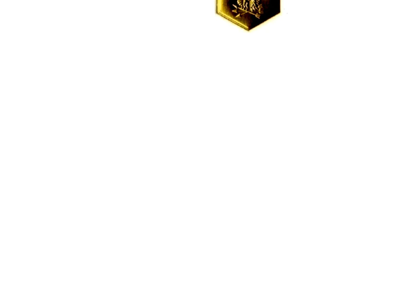 Army Commendation Medal